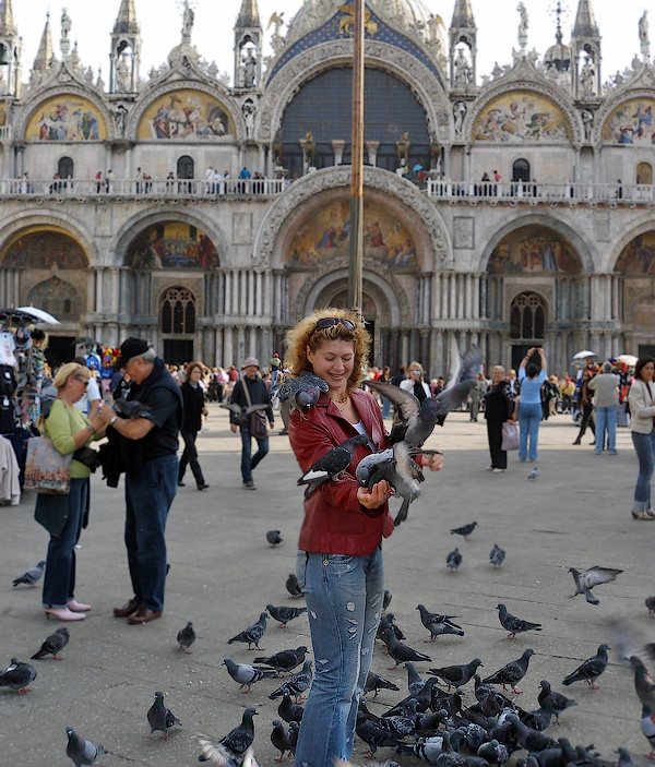 Глазами очевидцев: голуби на площади Сан Марко. Туры в Италию: Вся Италия, Венеция